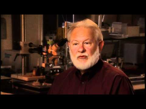 David Nichols: Mescaline-Psilocybin-DMT and LSD all activate the same biological target