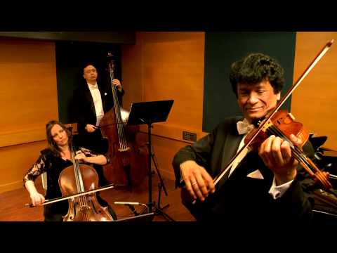Ricardo de Mello Quartet - 06 THEME FROM DOCTOR ZHIVAGO