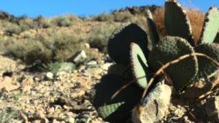 preview picture of video 'Fort Irwin Environmental Video Sample'