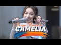 Tasya Rosmala Camelia Ijjoo Production Versi Dangdut Live Pernikahan Badi Feby Madiun