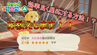 【あつ森】効率良く島評価星5を取る方法⁉意外と簡単な取り方とは…【解説付き】【あつまれどうぶつの森】