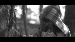 Anna Aaron - Sea Monsters