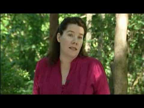 Director Tracy Young on The Servant of Two Masters by Carlo Goldoni