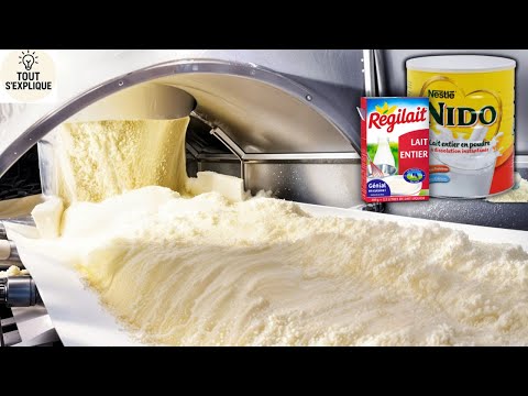 Comment c’est fait : Le lait en poudre, des millions de tonnes produites dans les usines modernes