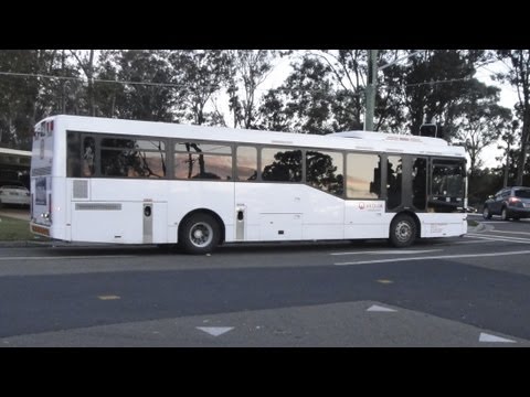 Transdev NSW m/o 9664 - Volvo B12BLE (Voith/CC CB60 Evo II)