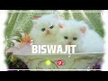 BISWAJIT Name Ringtone BISWAJIT Naam Ki Ringtone BISWAJIT Name Smart Ringtone Iphone Ringtone