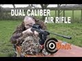 REVIEW: Beeman Dual Caliber Air Rifle .177 and .22 ...