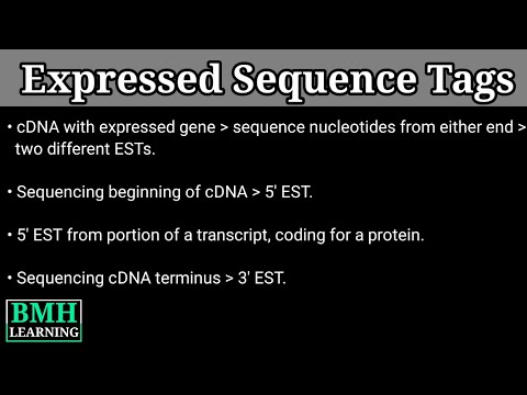 image-What is expressed sequence tag?