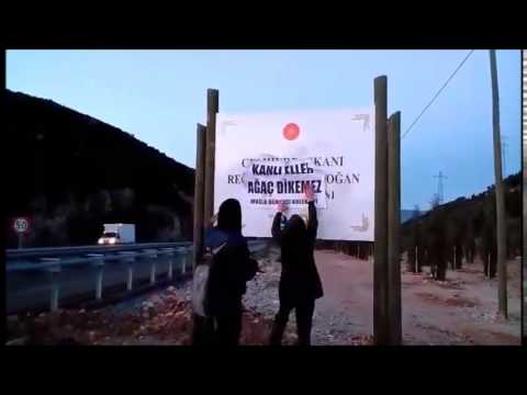 Kanlı Eller Ağaç Dikemez! | Muğla Öğrenci Kolektifi