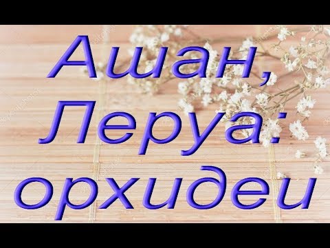 Новый завоз:АШАН,ЛЕРУА - ОРХИДЕИ (ТЦ "Космопорт",Самара,10.11.2018.)