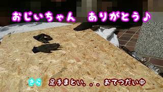 初DIYお部屋の壁張り！？