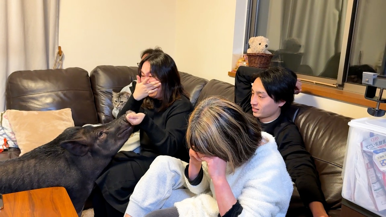 娘の妊娠をYouTubeで発表 → 家族に見せたらまさかの展開に…