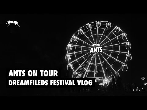 ANTS on Tour | Dreamfields Festival Vlog