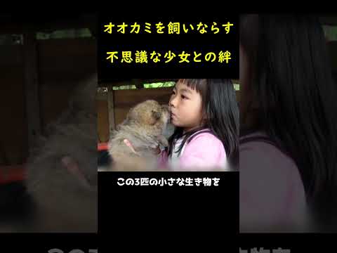 なぜオオカミは月に向かって吠えるのでしょうか?