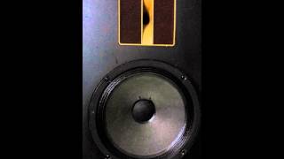 Incubus Pistola Lyric Mystery