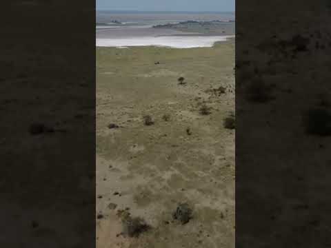 en venta 377 has ganaderas en departamento San Cristobal Santa fe