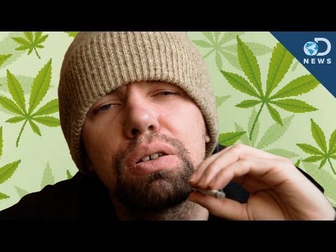download lagu mp3 mp4 How To Not Be Lazy With Weed, download lagu How To Not Be Lazy With Weed gratis, unduh video klip How To Not Be Lazy With Weed