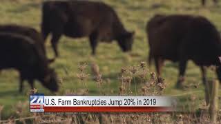 U.S. Farm Bankruptcies Jump 20% in 2019