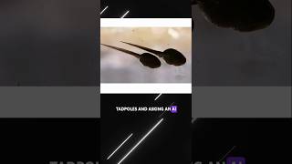 Seedream 5.0 Lite — Powerful AI Image Model for Next-Level Image Generation #seedream  #aitools