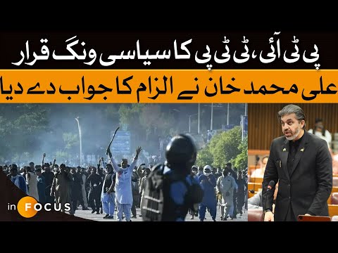 PTI Denies Links with TTP: Ali Muhammad Khan Speaks Out | Dawn News