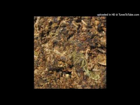 Porro sucio - El lapiz resinoso