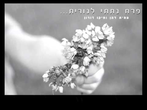 פרח נתתי לנורית - דני גיבור- אמא אמרה לי דני