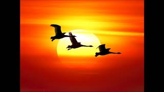 Paul & Luke - The Riddle (The Mediterranean Dream Mix)