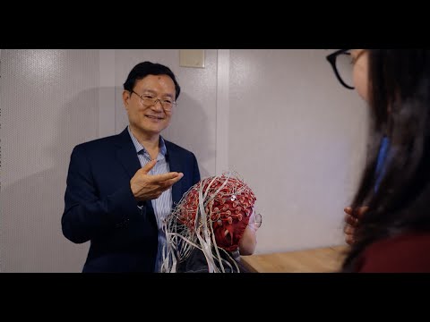 Hemoencephalography: The Brain-Computer Interface Frontier