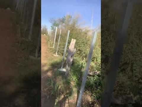 Solares , Lotes , Parcelas, en venta en Cantón La Isla Distrito de Metapan Santa Ana Norte .