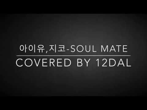 지코, 아이유 - Soulmate Cover by. 열두달 12DAL