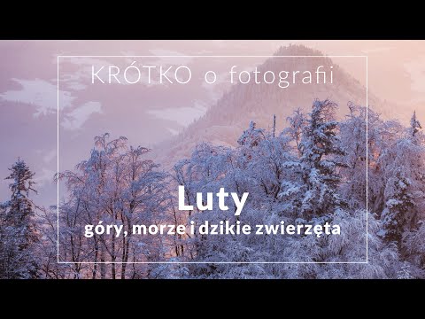 LUTY - góry, morze i dzikie zwierzęta  - KRÓTKO o fotografii
