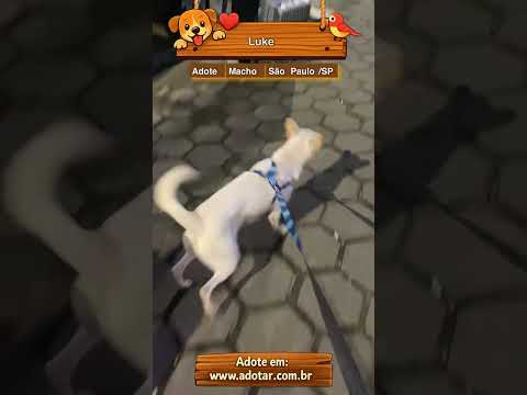 Vídeo de Luke