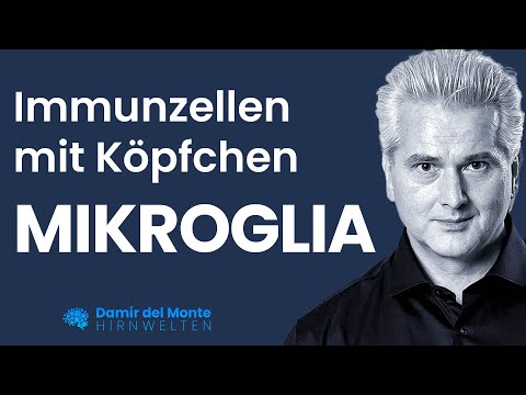 Immunzellen mit Köpfchen – MIKROGLIA | Dr. Dr. Damir del Monte | HIRNWELTEN