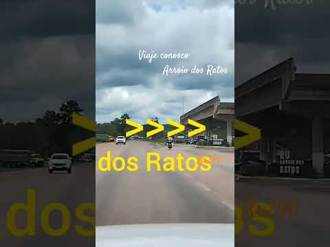 #riograndedosul #gauchoraiz #pampas #agro #viajeconosco #br290 #arroiodosratos