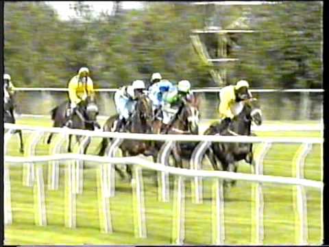 1999 - Galway - Albatros N Rich Maiden Hurdle (2m) - Stage Affair