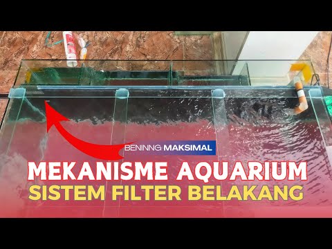 Cara Kerja Aquarium Filter Belakang || Kotoran Tersaring Maksimal