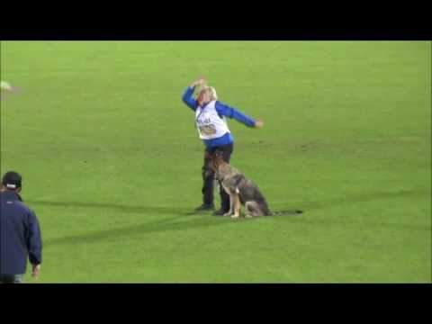 WUSV WK IPO 2016 Mia B