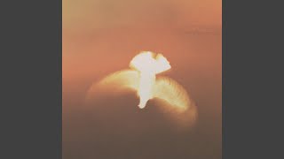 Wenn ich ein Vöglein wär