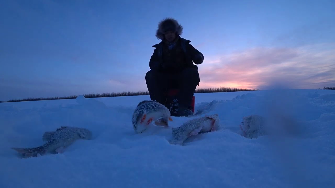 Зимняя рыбалка: Крупняк просто срывался с крючков!
