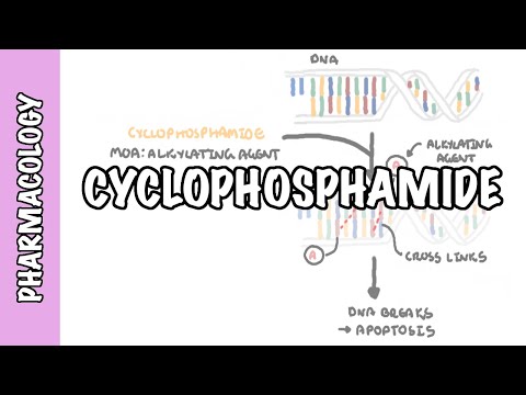 Cyclophosphamid - Pharmakologie, Wirkmechanismus, Nebenwirkungen