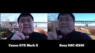 Sony HX80 vs Canon G7X Mark II
