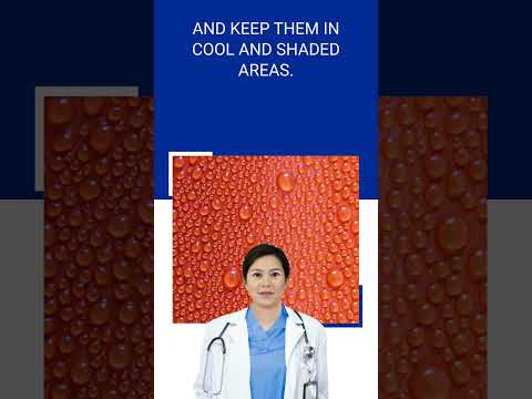 Beat the Heat: Keeping Your Kids Safe and Cool in Hot Weather