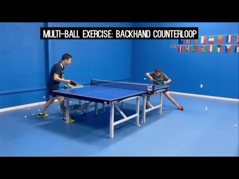 Butterfly Training Tips with Wang Hui - Backhand Counterloop/Backhand Flip