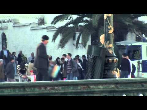 LYDIA DAHER & Tatafull "Ich warte hier - أنتظرُ هنا " - Video von Wolf Gaudlitz