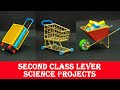 Second Class lever Science Projects