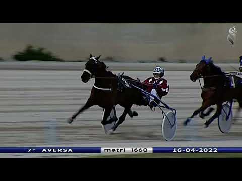 Aversa trotto 16 Aprile 2022 - 7° Corsa