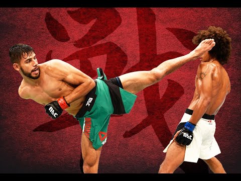 Yair Rodríguez - When striking becomes art