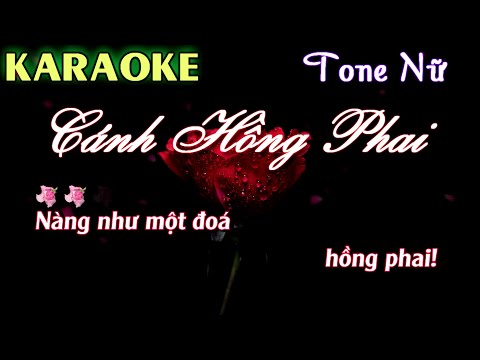 Karaoke | Cánh Hồng Phai - Tone Nữ Phối Mới | By Nhạc Việt Karaoke