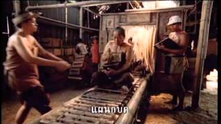 2009: 'Ivy Factory' | Ivy Traditional Coffee | McCann Thailand