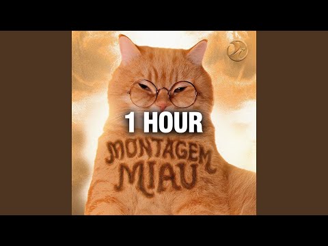 Montagem Miau (1 HOUR)